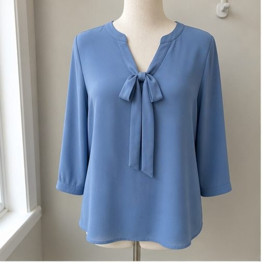 Blue Pleated Blouse